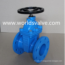 BS5163 Valve à clapet en fonte ductile